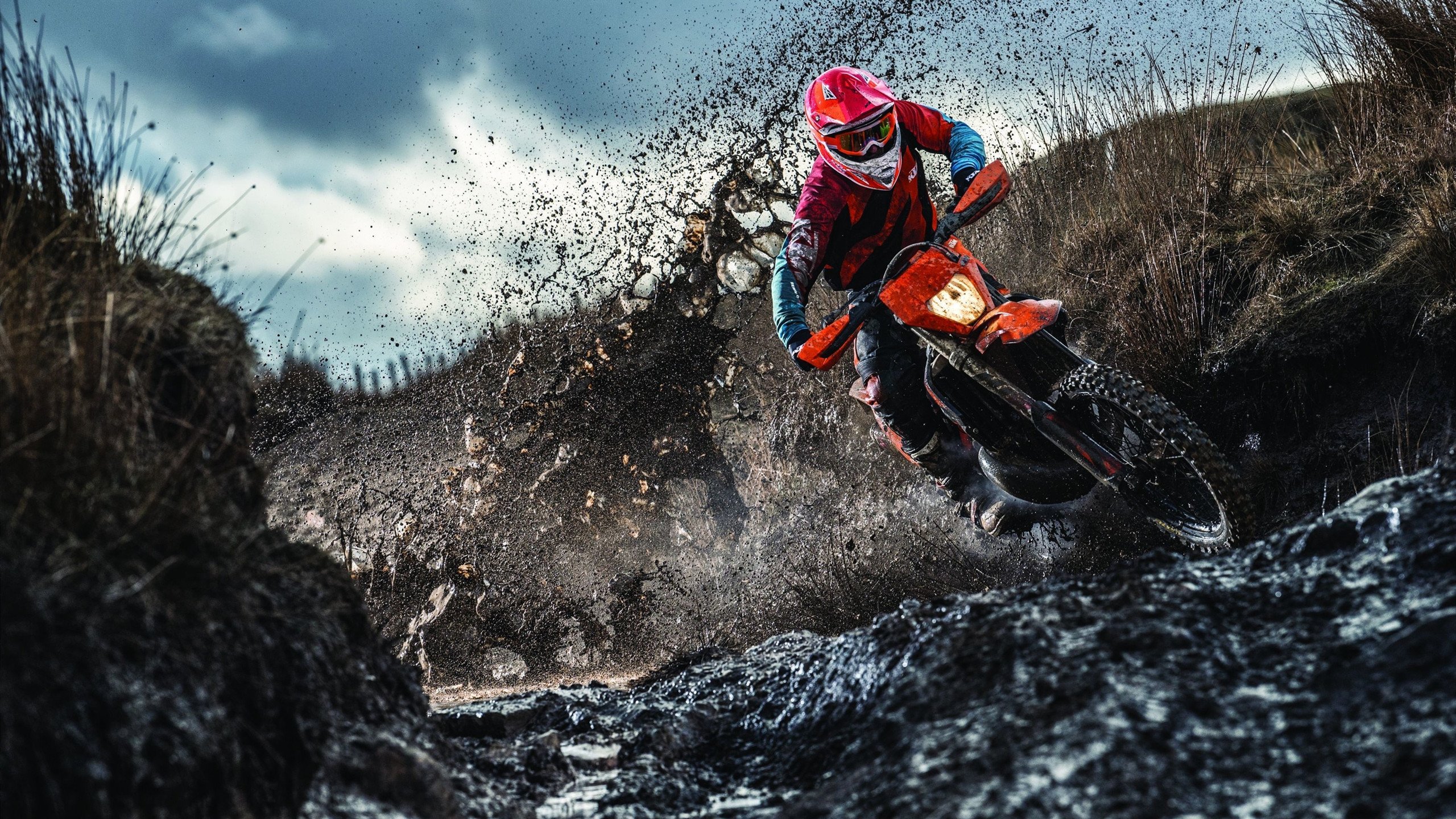 “球迷投票：年度最感动瞬间你支持谁？”，球迷感人故事